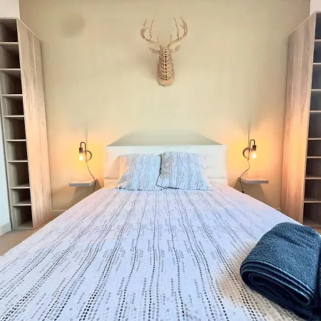 Apartment Comfortable T2